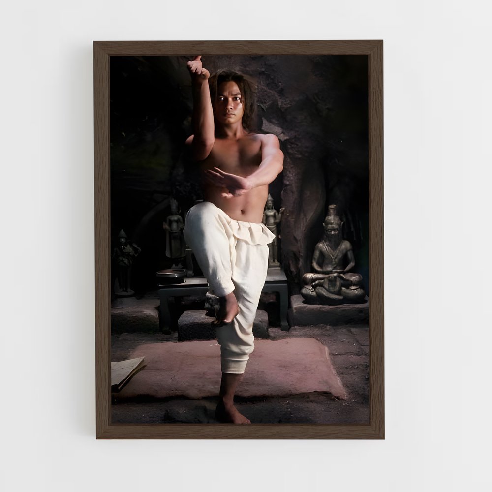 Poster Tony de jaa – affiche Kung Fu (vue 5)